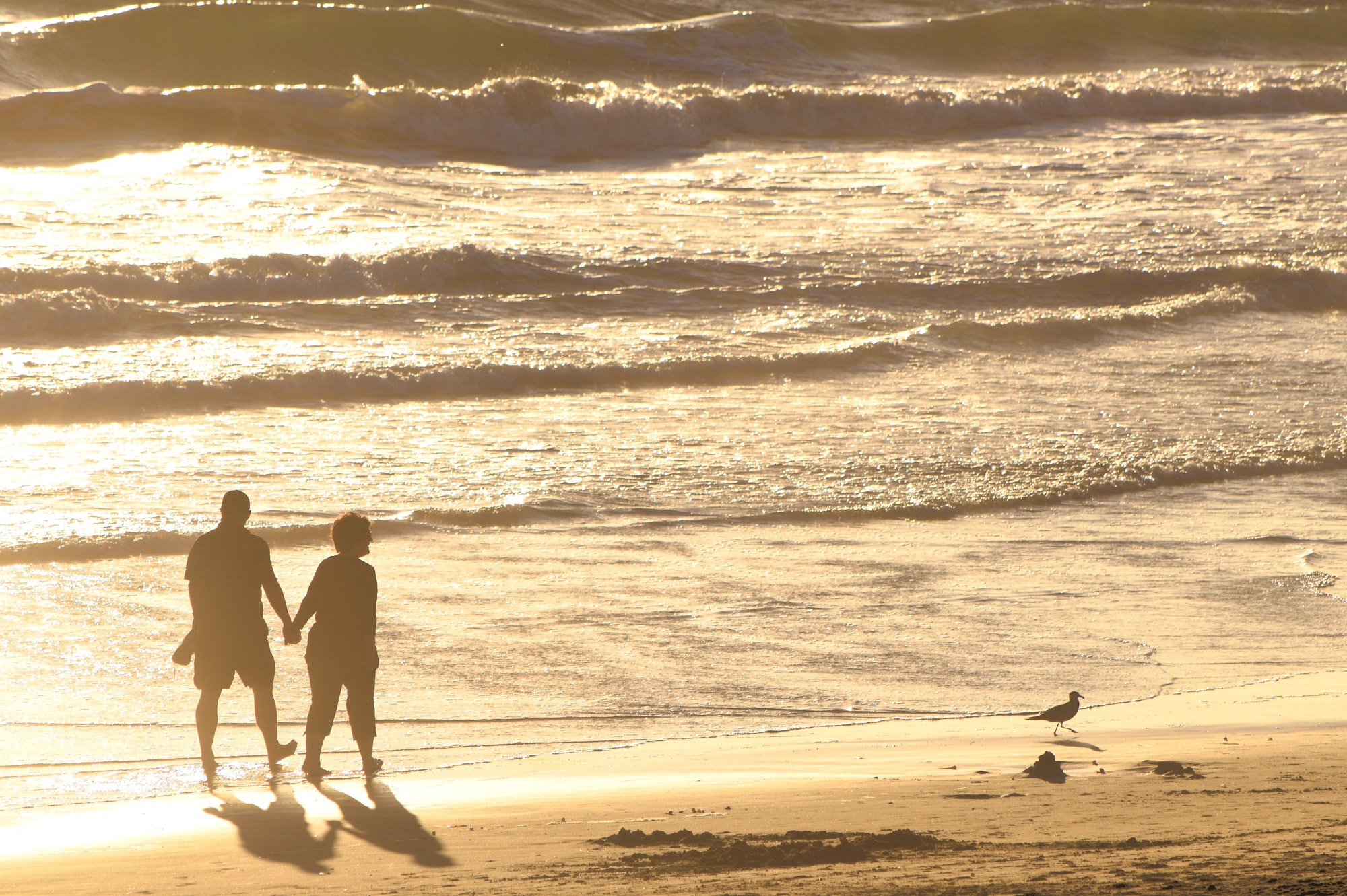 Retired Couple walking along a golden beach